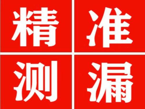 嵊泗尚嘉漏水精准查找
